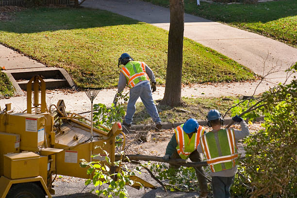 Lawn Drainage Solutions in Village Shires, PA