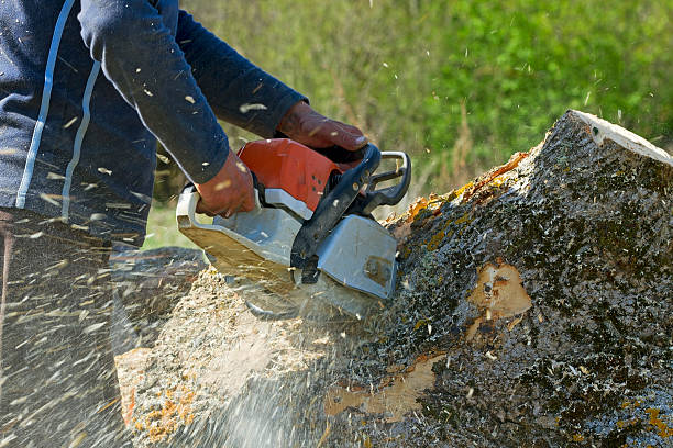 Best Emergency Tree Removal  in Village Shires, PA